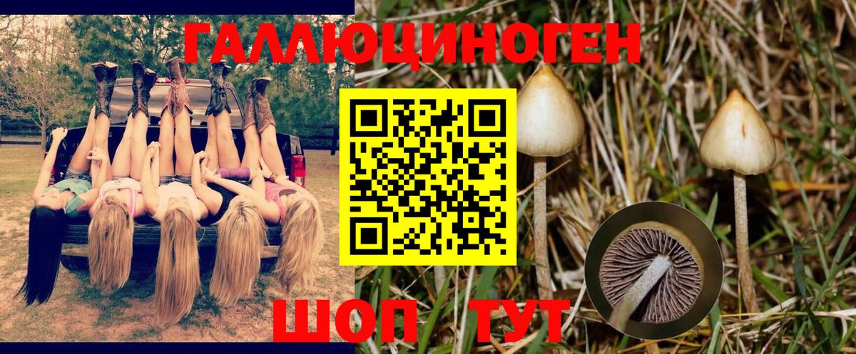 Псилоцибиновые грибы мицелий  как найти закладки  Сердобск  Вход с VPN  Псилоцибиновые грибы GOLDEN TEACHER 
