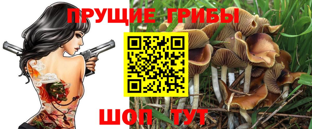 Галлюциногенные грибы Magic Shrooms Сердобск